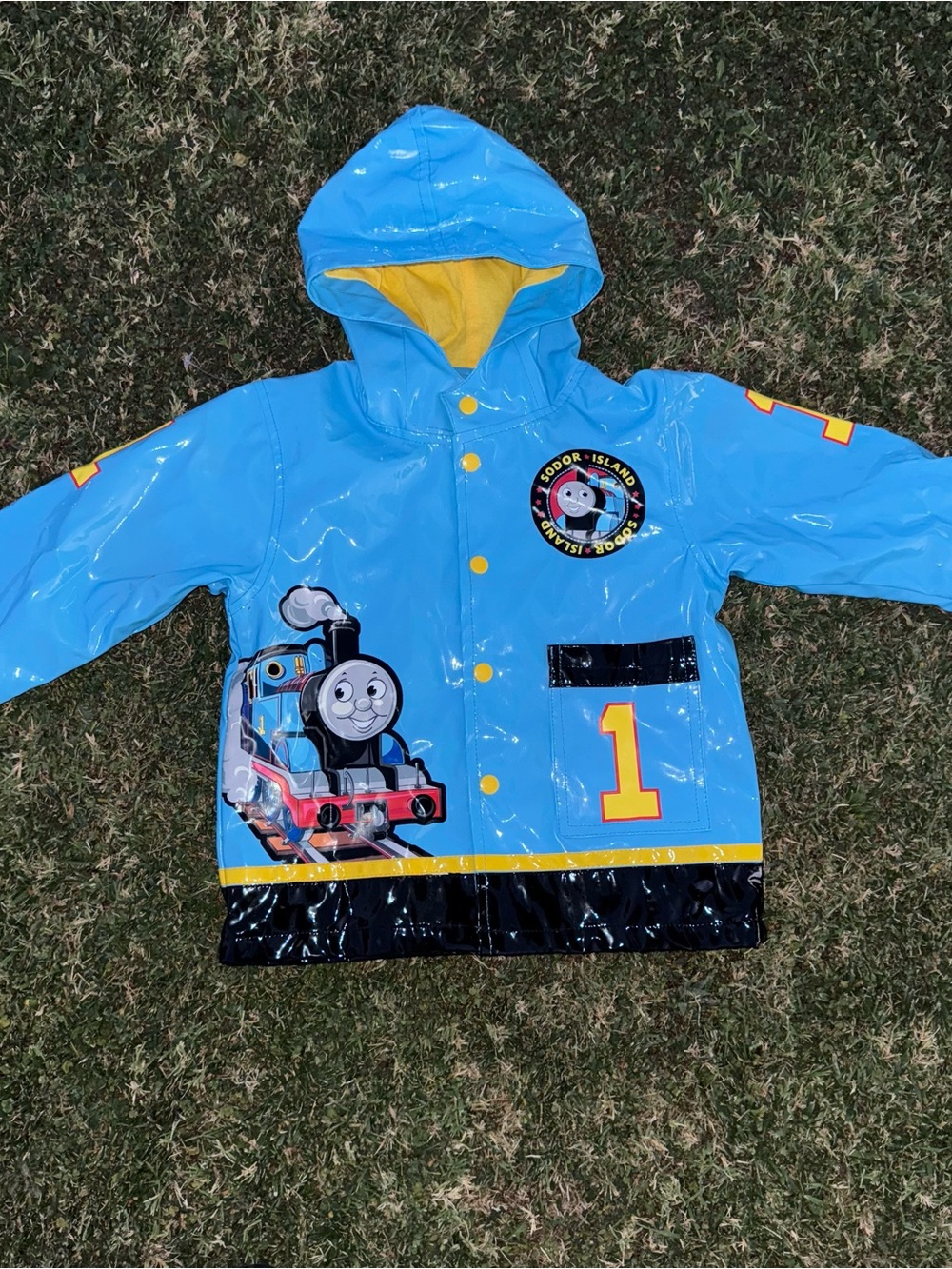 Thomas The Train x Western Chief x Toddler Raincoat